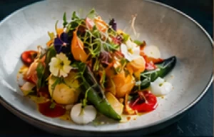 Lx Yacht Vegetarian Menu